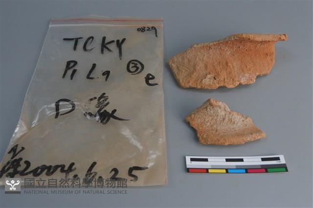 陶片藏品圖，第1張