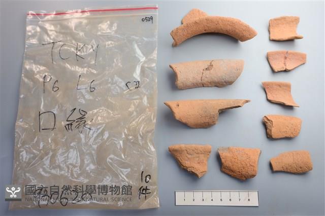 陶片藏品圖，第1張