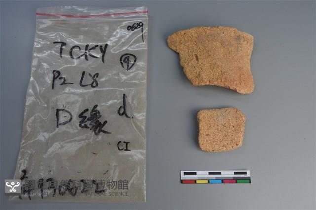 陶片藏品圖，第1張