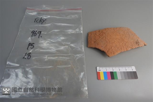 陶片藏品圖，第1張