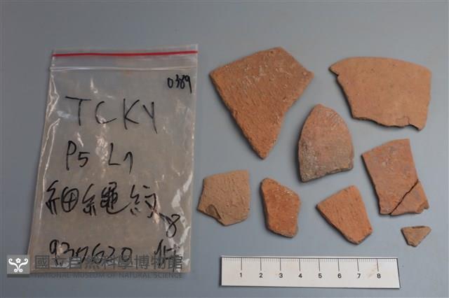 陶片藏品圖，第1張