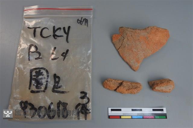 陶片藏品圖，第1張