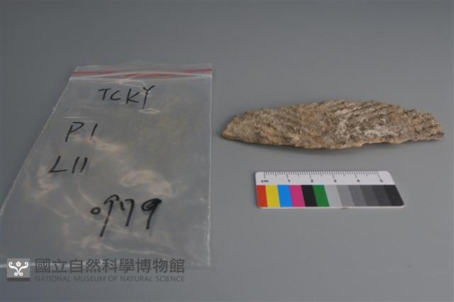 陶片藏品圖，第1張