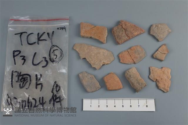 陶片藏品圖，第1張