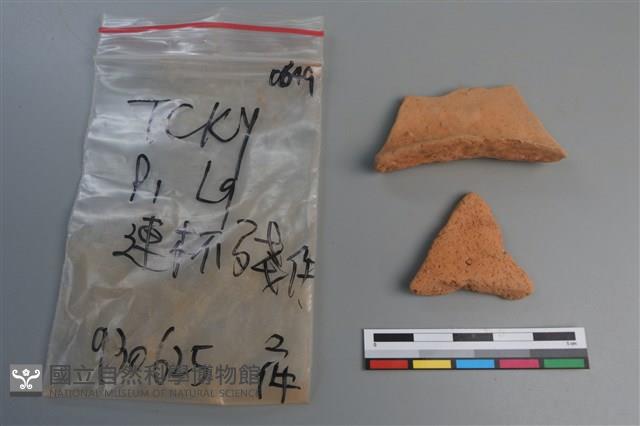 連杯形器藏品圖，第1張