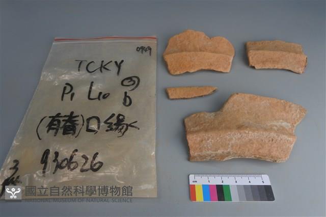 陶片藏品圖，第1張