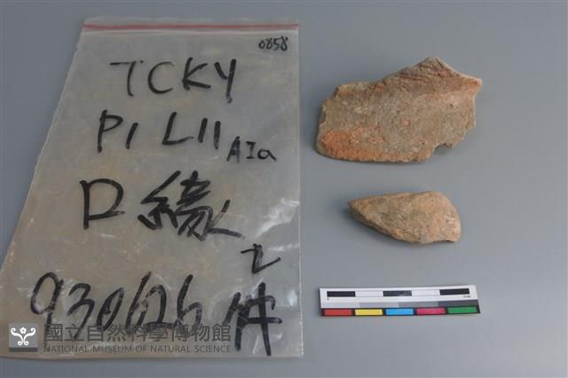 陶片藏品圖，第1張