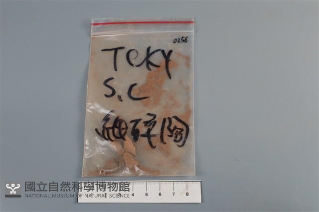 陶片藏品圖，第1張