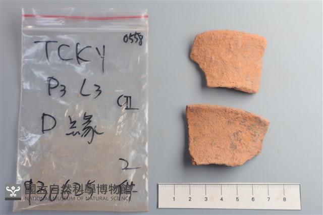 陶片藏品圖，第1張