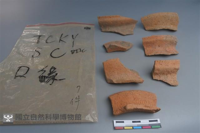 陶片藏品圖，第1張