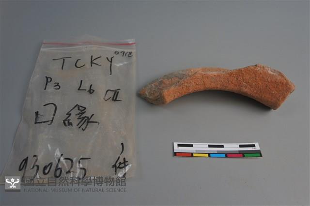 陶片藏品圖，第1張