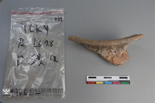 陶片藏品圖，第1張