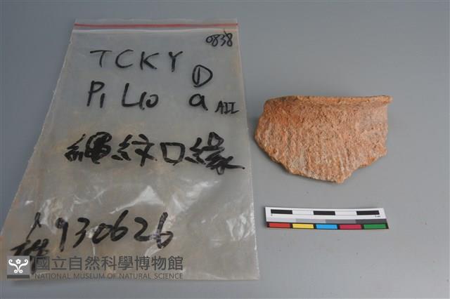 陶片藏品圖，第1張