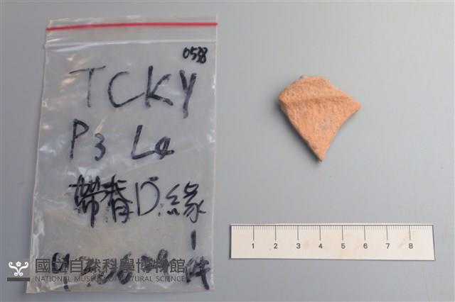 陶片藏品圖，第1張