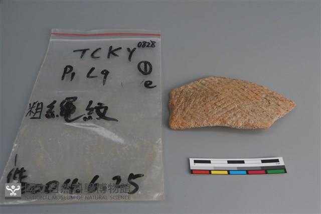 陶片藏品圖，第1張