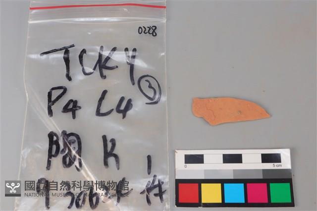 陶片藏品圖，第1張