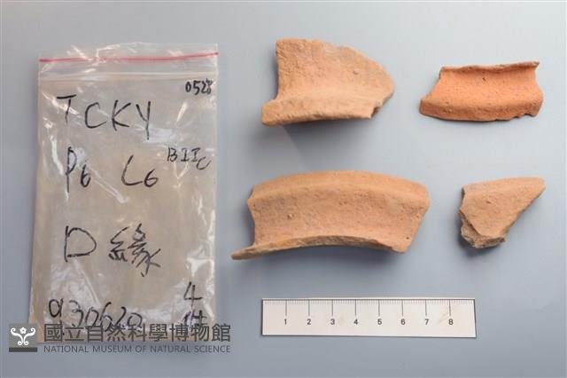 陶片藏品圖，第1張