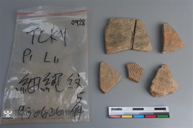 陶片藏品圖，第1張