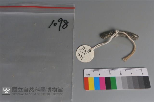 陶環藏品圖，第1張