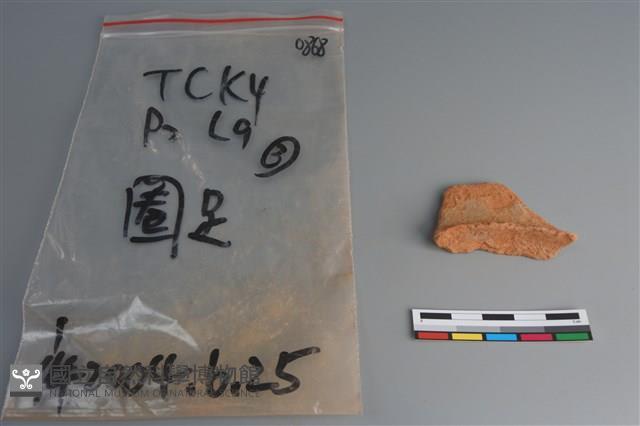 陶片藏品圖，第1張