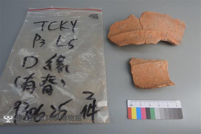 陶片藏品圖，第1張