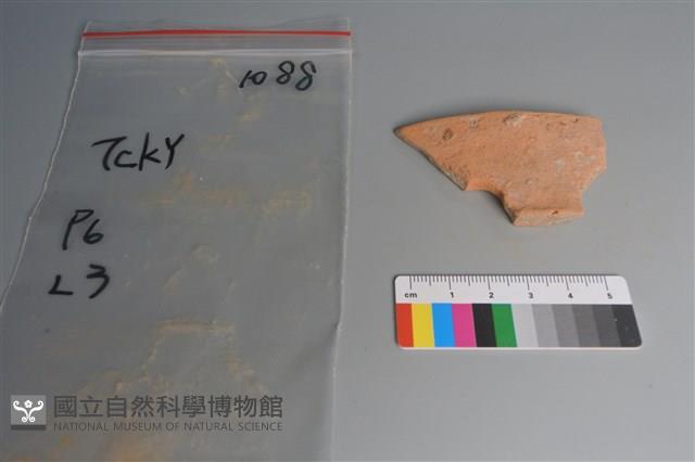 陶片藏品圖，第1張