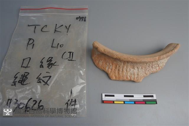 陶片藏品圖，第1張