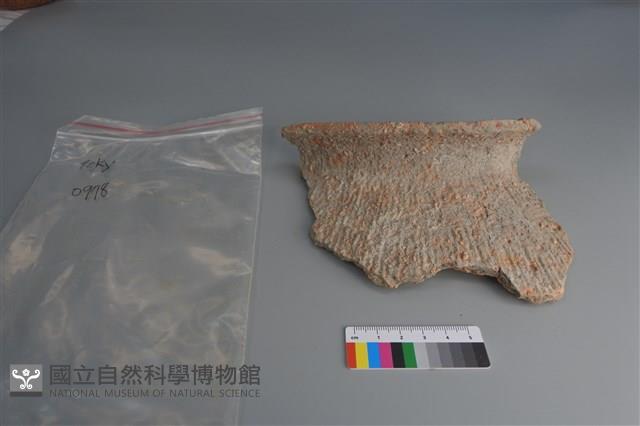 陶片藏品圖，第1張