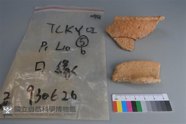 陶片藏品圖，第1張