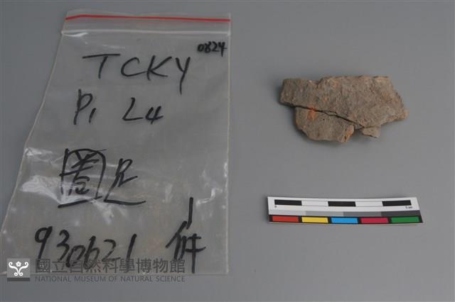 陶片藏品圖，第1張