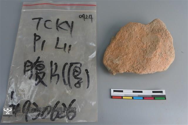 陶片藏品圖，第1張