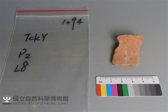 陶片藏品圖，第1張