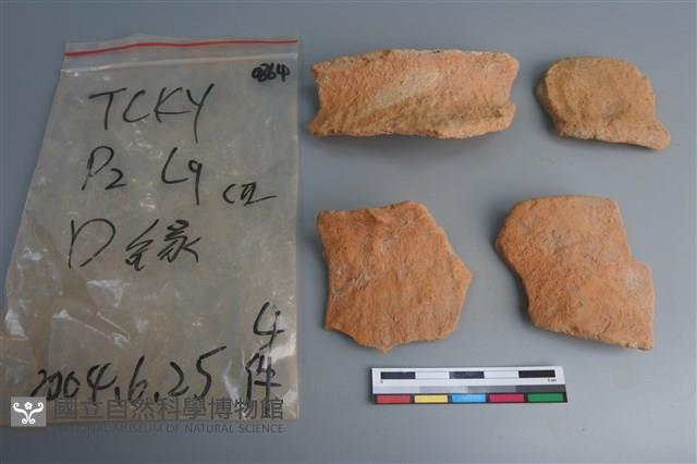 陶片藏品圖，第1張