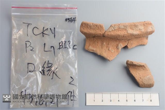 陶片藏品圖，第1張