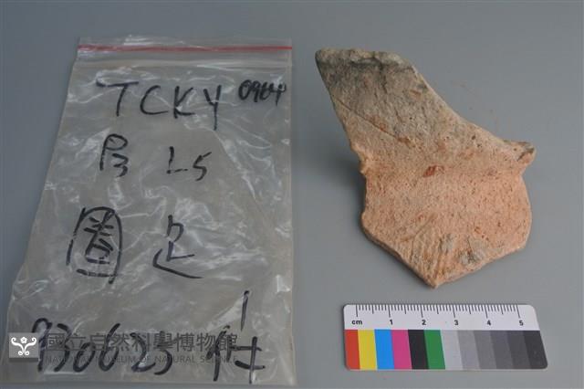 陶片藏品圖，第1張