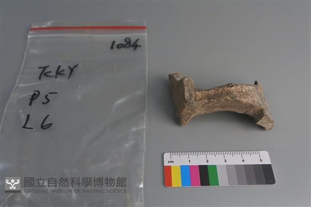 陶片藏品圖，第1張