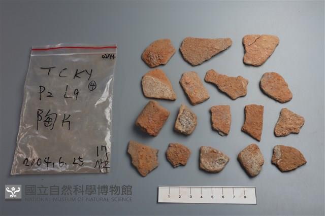 陶片藏品圖，第1張