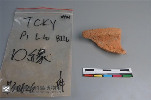 陶片藏品圖，第1張