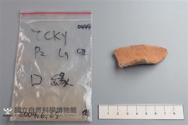 陶片藏品圖，第1張