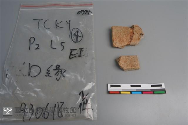 陶片藏品圖，第1張