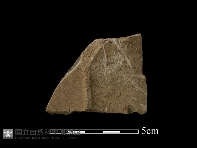 帶加工痕石材藏品圖，第2張