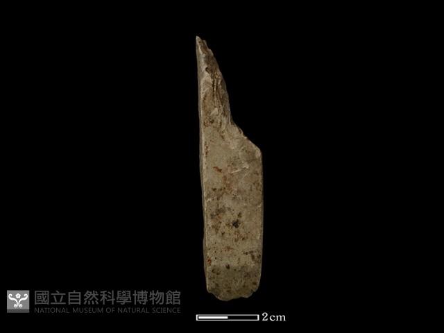 錛鑿形器藏品圖，第1張