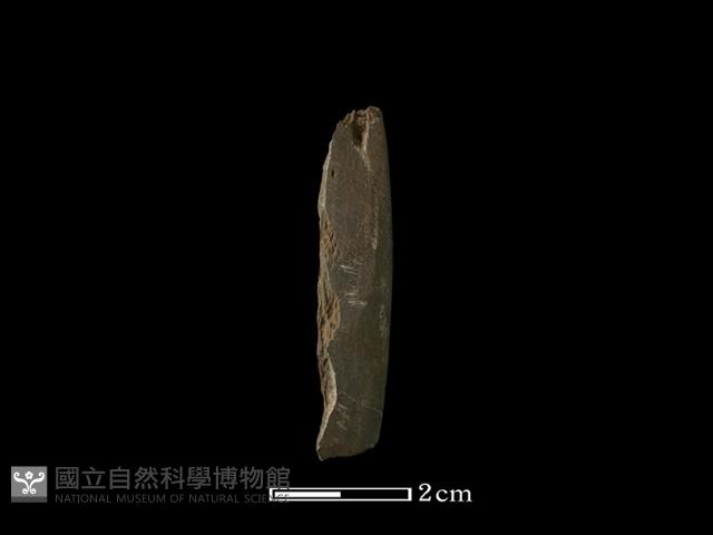 錛鑿形器藏品圖，第1張