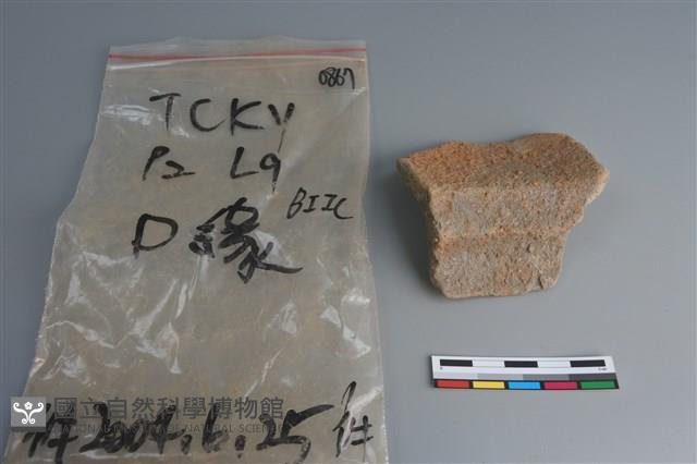 陶片藏品圖，第4張