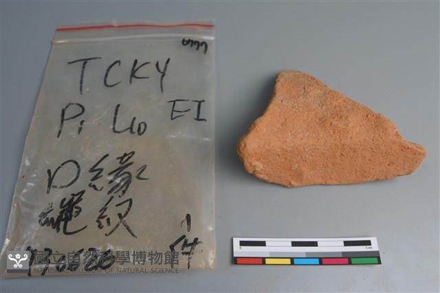 陶片藏品圖，第4張