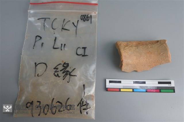 陶片藏品圖，第4張