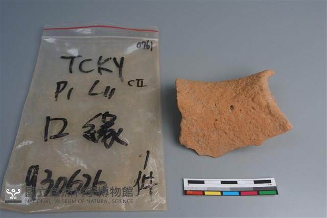 陶片藏品圖，第4張