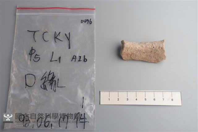 陶片藏品圖，第4張