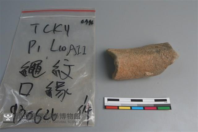 陶片藏品圖，第4張