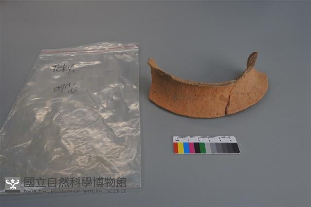 陶片藏品圖，第4張